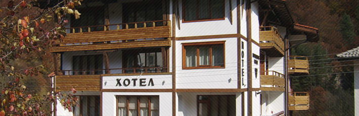 Бащината къща